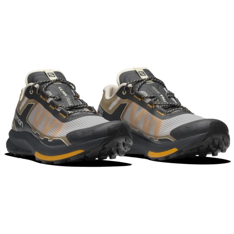 Salomon Ultra Raid Men's Sneakers Black / Grey / Brown | 867-OQFMIS