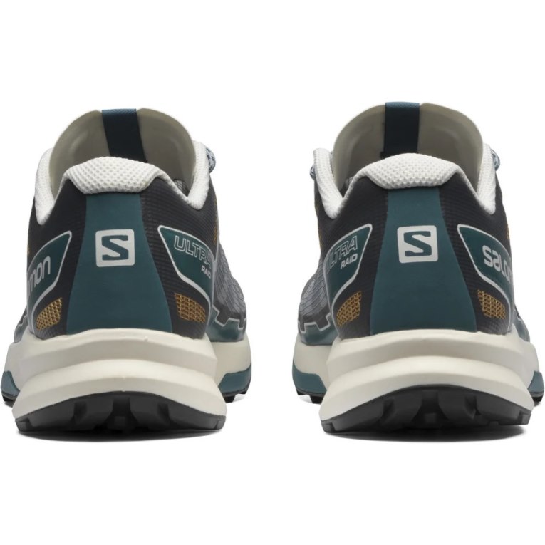 Salomon Ultra Raid Men's Sneakers Grey | 523-XOTUDZ