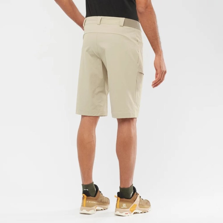 Salomon Wayfarer Men's Shorts Khaki | 459-UCFDXY