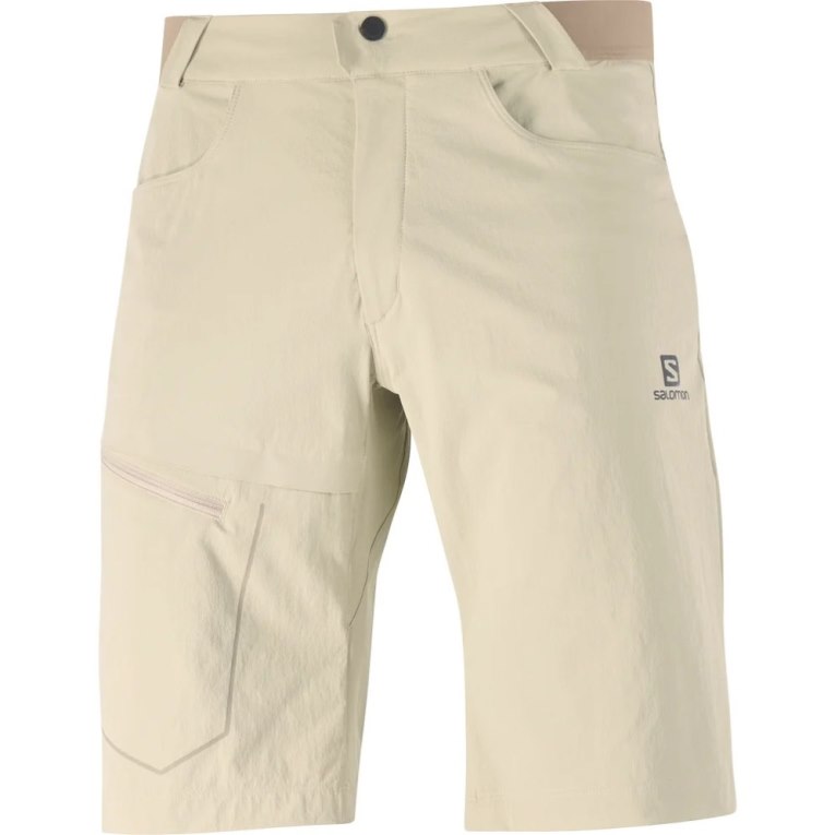 Salomon Wayfarer Men's Shorts Khaki | 459-UCFDXY