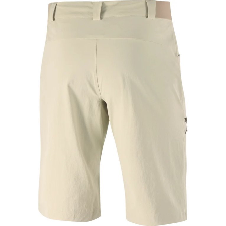 Salomon Wayfarer Men's Shorts Khaki | 459-UCFDXY