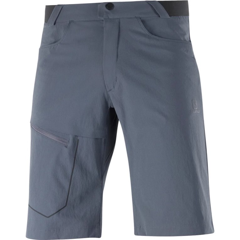 Salomon Wayfarer Men's Shorts Navy | 638-AVGXLO