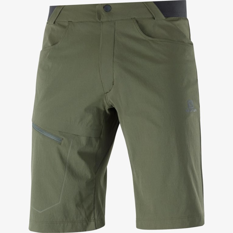 Salomon Wayfarer Men's Shorts Olive | 684-BPTZRU