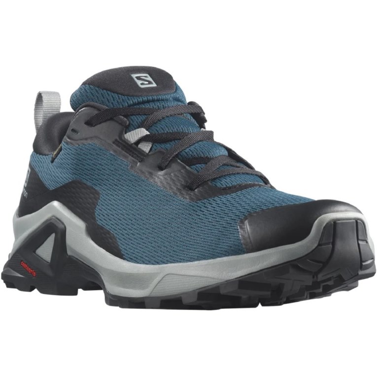 Salomon X Reveal 2 GTX Men's Hiking Shoes Blue | 517-FQLPIR