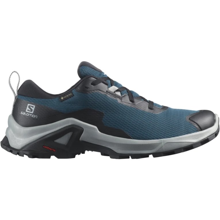 Salomon X Reveal 2 GTX Men\'s Hiking Shoes Blue | 517-FQLPIR