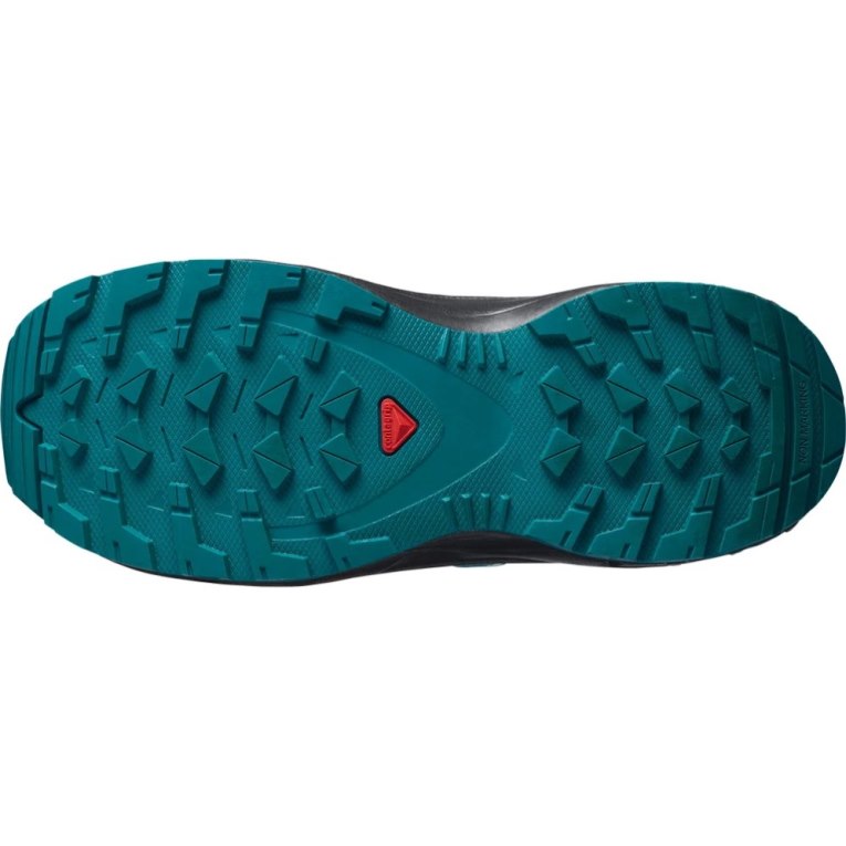 Salomon Xa Pro V8 Kids' Hiking Shoes Turquoise | 106-HVSLBI