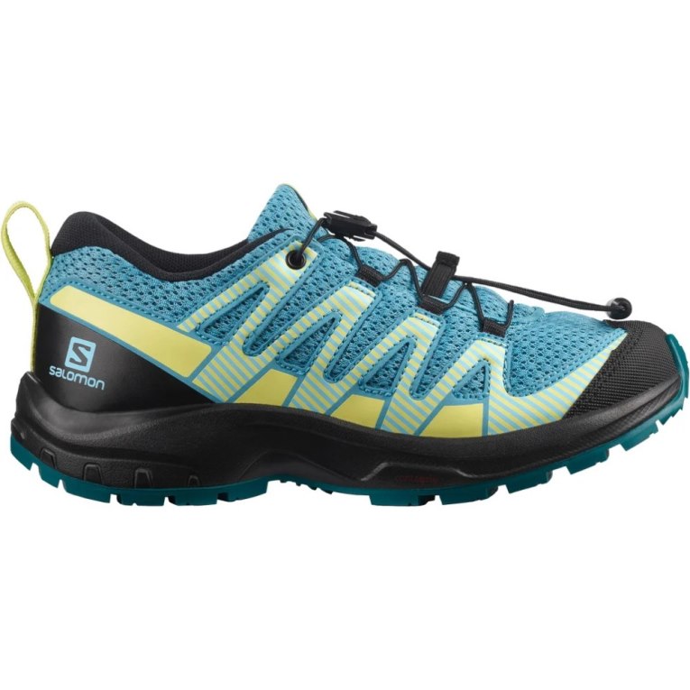 Salomon Xa Pro V8 Kids\' Hiking Shoes Turquoise | 106-HVSLBI