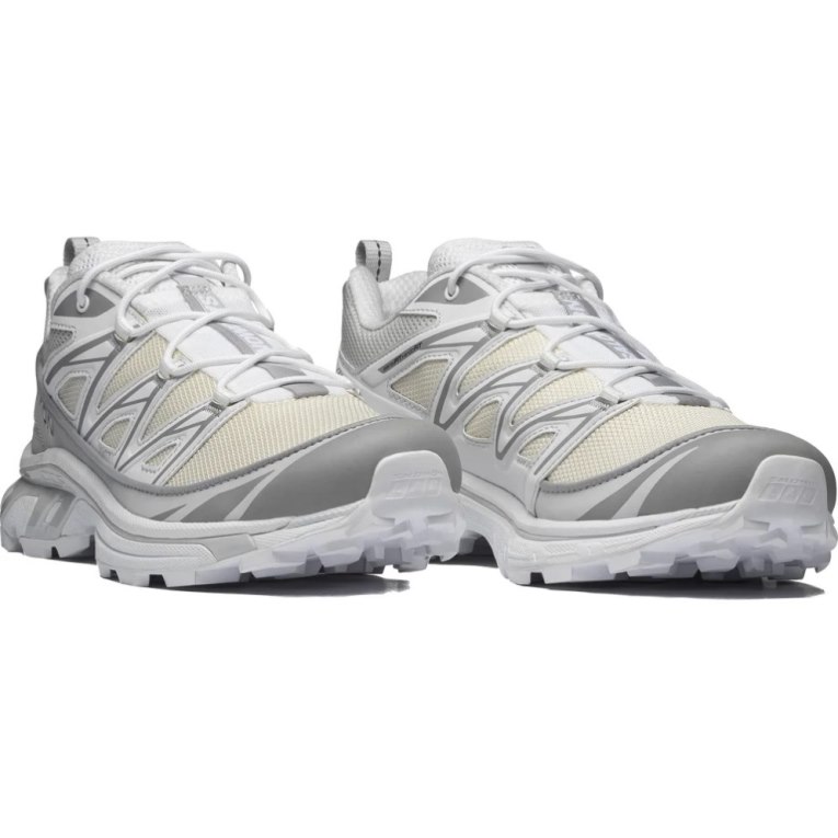 Salomon Xt-6 Expanse Men's Sneakers Light Grey | 683-RVTCKB