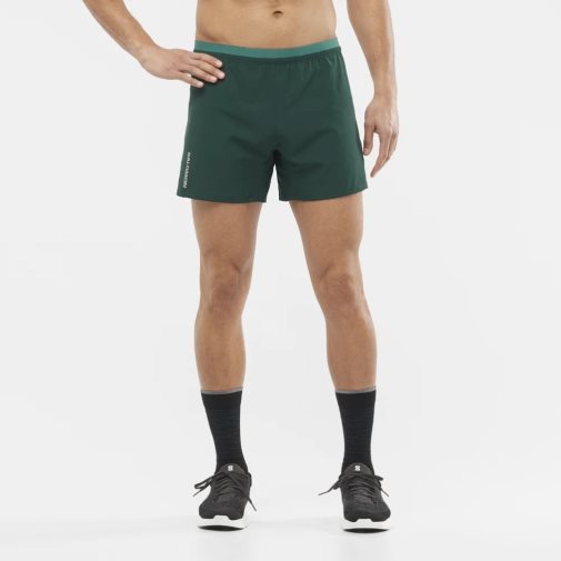 Salomon Cross 5'' Men's Shorts Green | 016-QBWPIC