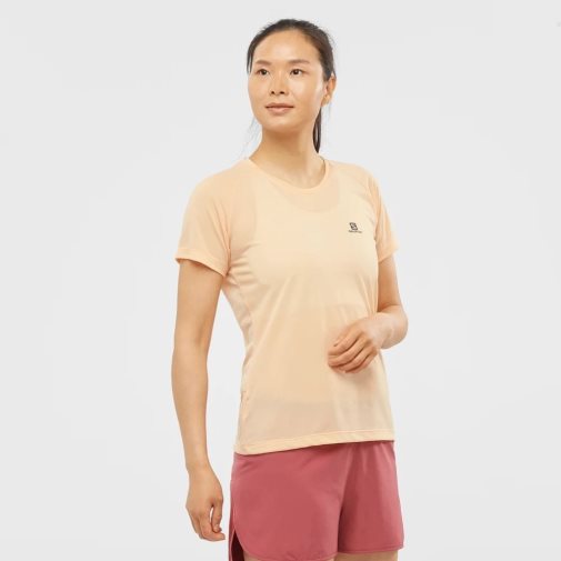 Salomon Cross Rebel Short Sleeve Women's T-Shirts Apricot | 851-PDMNWV