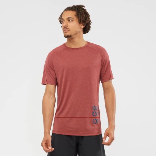 Salomon Cross Run Graphic Short Sleeve Men's T-Shirts Dark Red | 610-BAQPVX