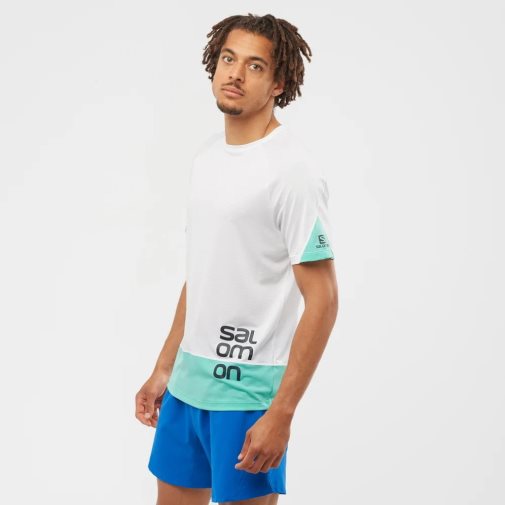 Salomon Cross Run Graphic Short Sleeve Men's T-Shirts White / Turquoise | 768-WGZCPN