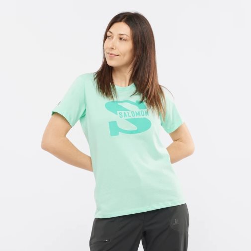 Salomon Outlife Big Logo Short Sleeve Women's T-Shirts Mint | 916-ZECHJK