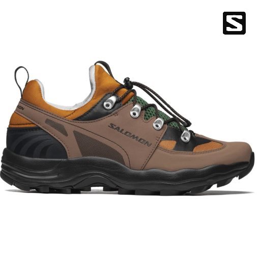 Salomon Raid Wind 75th Men's Sneakers Brown | 386-AQFDMV