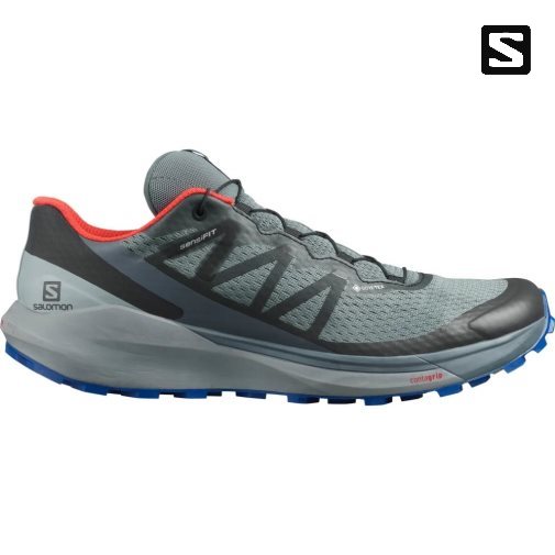 Salomon Sense Ride 4 GTX Invisible Fit Men's Trail Running Shoes Grey | 167-LMQPNU