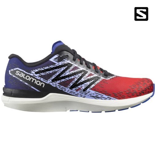 Salomon Sonic 5 Balance Men's Running Shoes Multicolor | 528-SUDGCZ