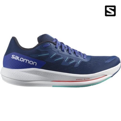 Salomon Spectur Men's Running Shoes Blue | 450-CIZKQT