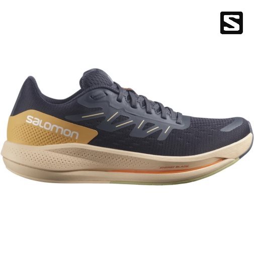 Salomon Spectur Women's Running Shoes Navy | 784-IGRONC