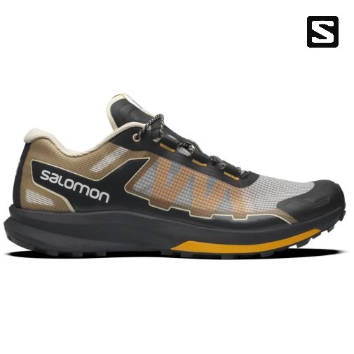 Salomon Ultra Raid Men's Sneakers Black / Grey / Brown | 867-OQFMIS