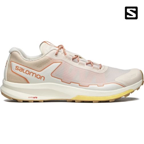 Salomon Ultra Raid Men's Sneakers Cream | 741-JQRGNC