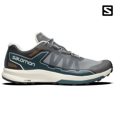 Salomon Ultra Raid Men's Sneakers Grey | 523-XOTUDZ