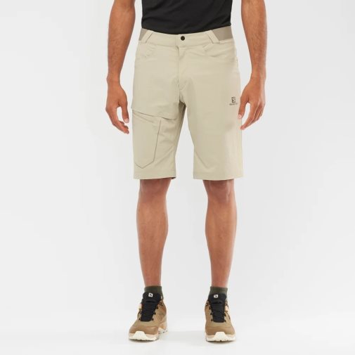 Salomon Wayfarer Men's Shorts Khaki | 459-UCFDXY