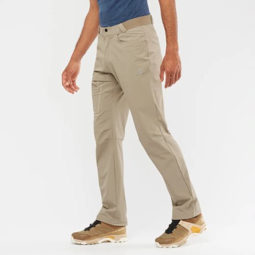 Salomon Wayfarer Men's Sport Pants Khaki | 415-WGFJDH