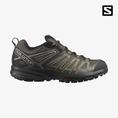 Salomon X Crest GTX Men's Hiking Shoes Olive | 243-ALCUQI