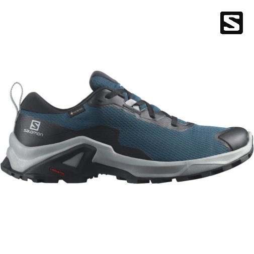 Salomon X Reveal 2 GTX Men's Hiking Shoes Blue | 517-FQLPIR