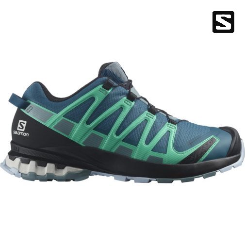 Salomon Xa Pro 3d V8 GTX Women's Trail Running Shoes Blue / Turquoise | 650-OPXZQY