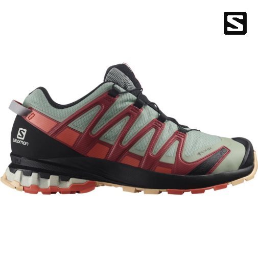 Salomon Xa Pro 3d V8 GTX Women's Trail Running Shoes Olive / Red | 908-KNUVIF