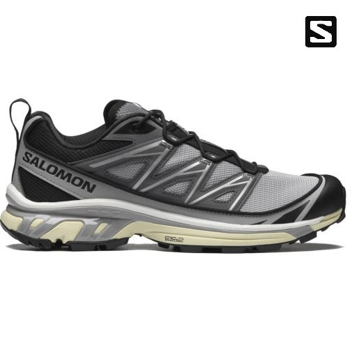 Salomon Xt-6 Expanse Men's Sneakers Grey | 570-UMSPCD