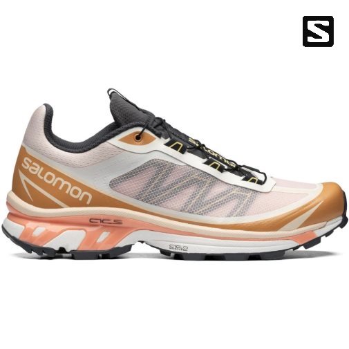 Salomon Xt-6 Ft Men's Sneakers Multicolor | 023-KSLTMU