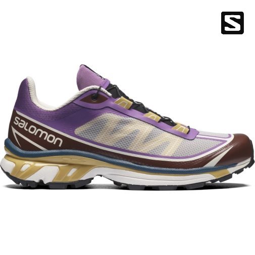 Salomon Xt-6 Ft Women's Sneakers Multicolor | 517-VGIRSZ