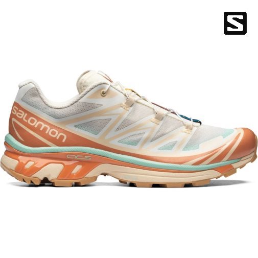 Salomon Xt-6 Skyline Men's Sneakers Multicolor | 671-KGHVPC